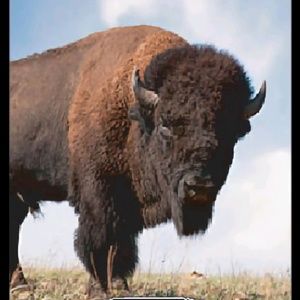 Meet your Posher, Dave